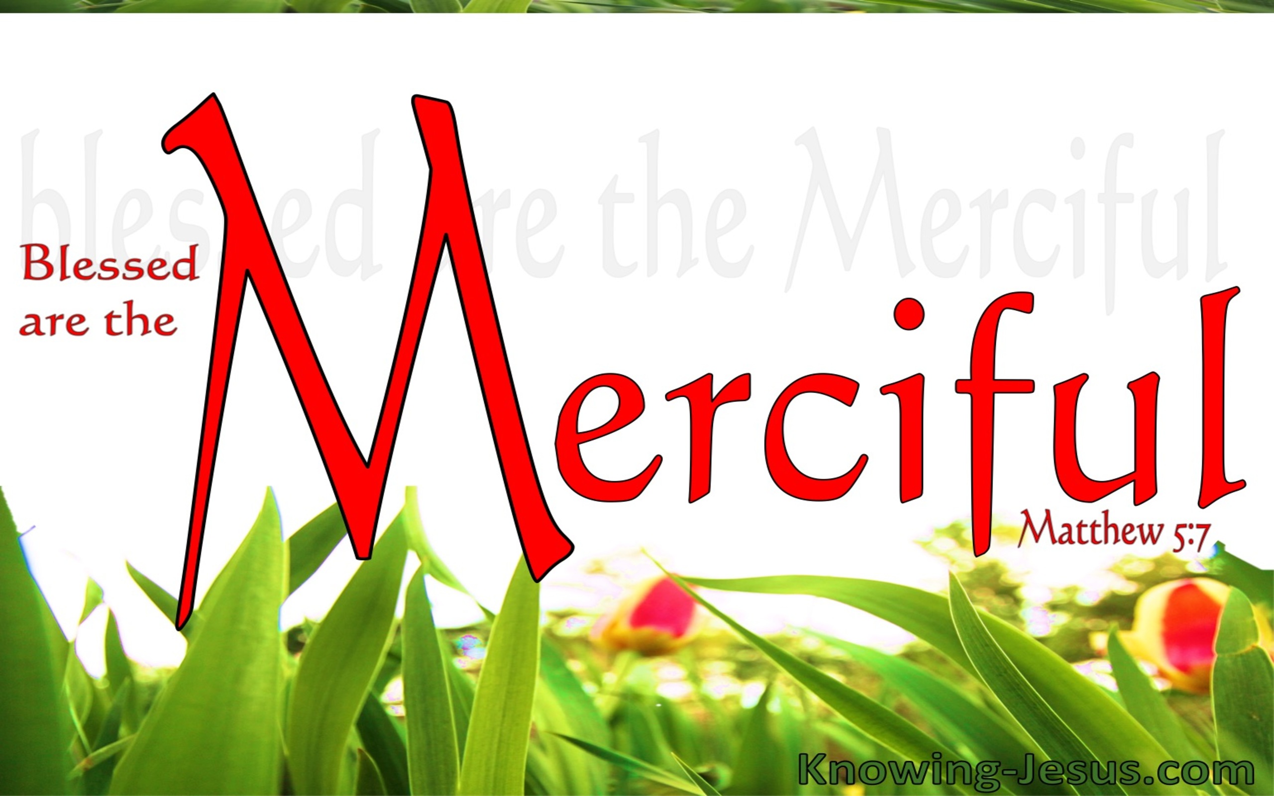 Matthew 5:7 Blessed Are The Merciful (red)